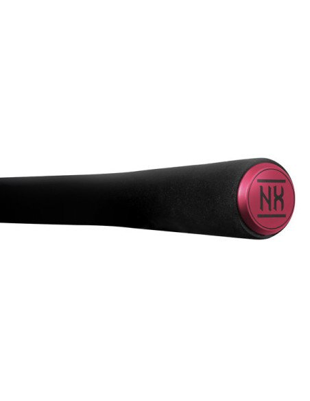 Delphin RIVERA NX 240cm 150g Wels Spinnrute Predator Angelrute Catfish Rod-Ruten-JJ-Fishing