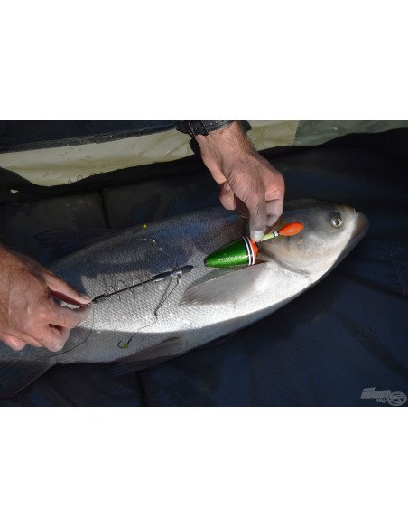 Haldorado Busa Methode Schwimmer mit Futterspirale Tolstolop Silberkarpfen Montage-Köder-JJ-Fishing