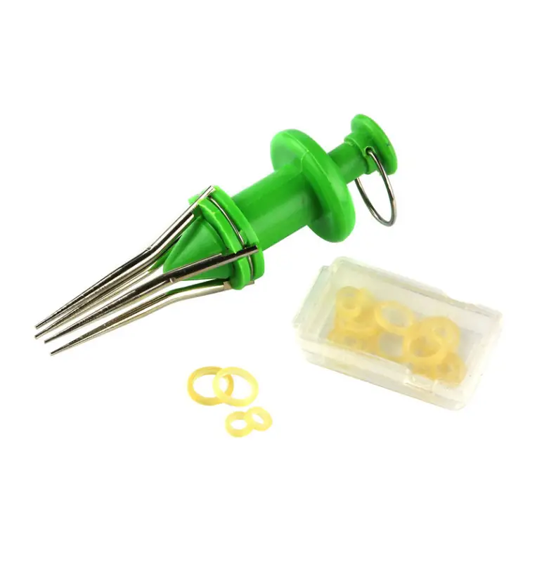 Nevis Bait Band Set mit Zange Köder-Ringe-Vorfachmaterial & Montage-Zubehör-JJ-Fishing