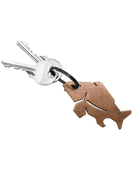 Delphin CARPENER Schlüsselanhänger 1 Stück Bronze mit Flaschenöffner-Angelzubehör-JJ-Fishing