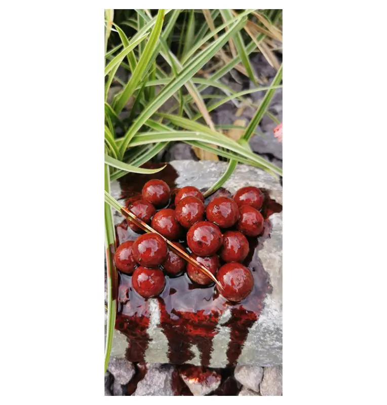 Aquatic Baits Liquid Bloodworm 500ml PVA Friendly-Liquids-JJ-Fishing