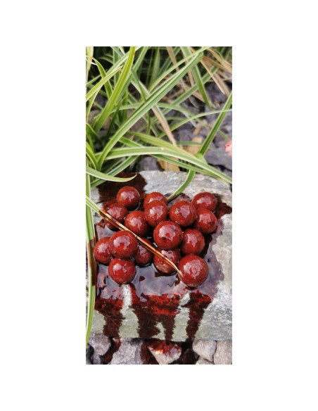 Aquatic Baits Liquid Bloodworm 500ml PVA Friendly-Liquids-JJ-Fishing