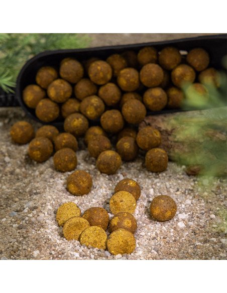 Aquatic Baits Performance Range Boilies Sweet Gold HNV 2kg 24mm-Boilies-JJ-Fishing