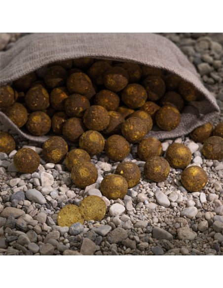 Aquatic Baits Performance Range Boilies Sweet Gold HNV 2kg 16mm-Boilies-JJ-Fishing