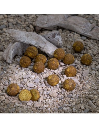 Aquatic Baits Sweet Gold HNV 2Kg 16mm Boilies Performance Range-Boilies-JJ-Fishing