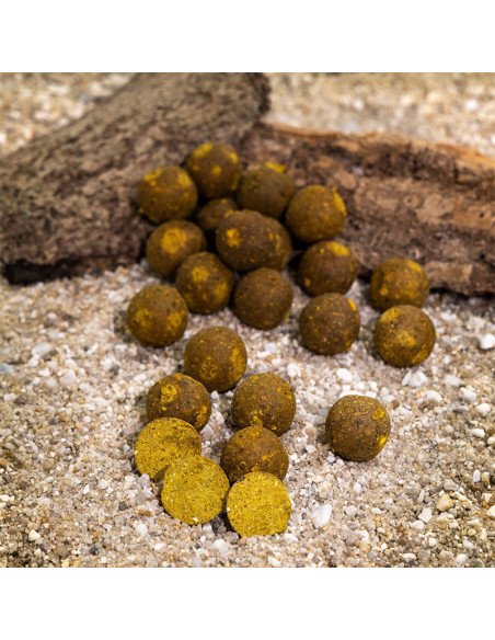 Aquatic Baits Performance Range Boilies Sweet Gold HNV 2kg 16mm-Boilies-JJ-Fishing