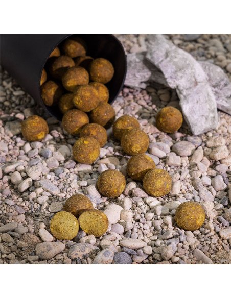 Aquatic Baits Performance Range Boilies Sweet Gold HNV 2kg 20mm-Boilies-JJ-Fishing