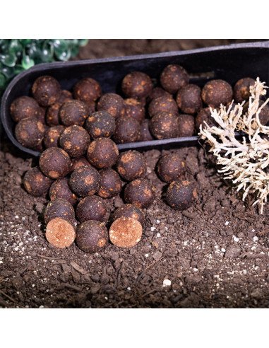 Aquatic Baits Black Tuna 2Kg 16mm Boilies Performance Range-Boilies-JJ-Fishing