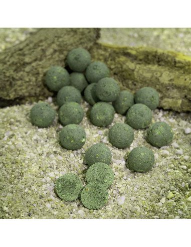 Aquatic Baits Mussel & Shrimp 2Kg 24mm Boilies Performance Range-Boilies-JJ-Fishing