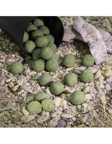 Aquatic Baits Mussel & Shrimp 2Kg 24mm Boilies Performance Range-Boilies-JJ-Fishing