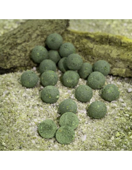 Aquatic Baits Mussel & Shrimp 2Kg 16mm Boilies Performance Range-Boilies-JJ-Fishing