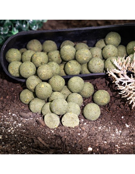 Aquatic Baits Performance Range Boilies Mussel & Shrimp 2kg 16mm-Boilies-JJ-Fishing
