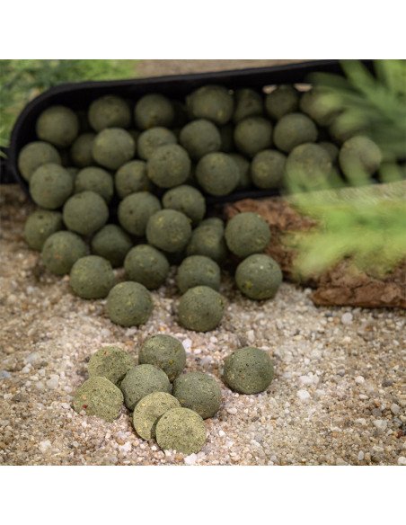 Aquatic Baits Performance Range Boilies Mussel & Shrimp 2kg 16mm-Boilies-JJ-Fishing