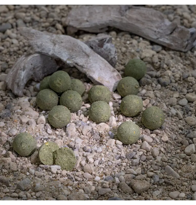 Aquatic Baits Mussel & Shrimp 2Kg 16mm Boilies Performance Range-Boilies-JJ-Fishing