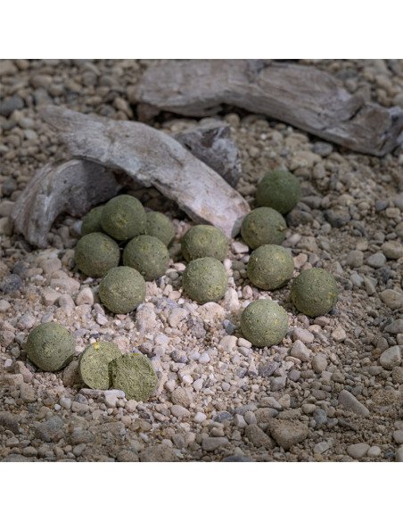 Aquatic Baits Performance Range Boilies Mussel & Shrimp 2kg 20mm-Boilies-JJ-Fishing