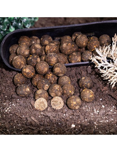 Aquatic Baits Scoba Fish 2Kg 24mm Boilies Performance Range-Boilies-JJ-Fishing