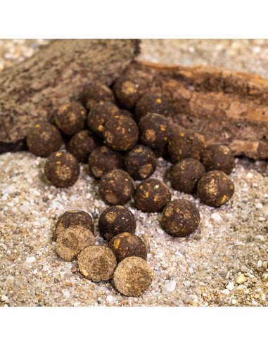 Aquatic Baits Scoba Fish 2Kg 16mm Boilies Performance Range-Boilies-JJ-Fishing