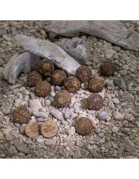 Aquatic Baits Scoba Fish 2Kg 16mm Boilies Performance Range-Boilies-JJ-Fishing