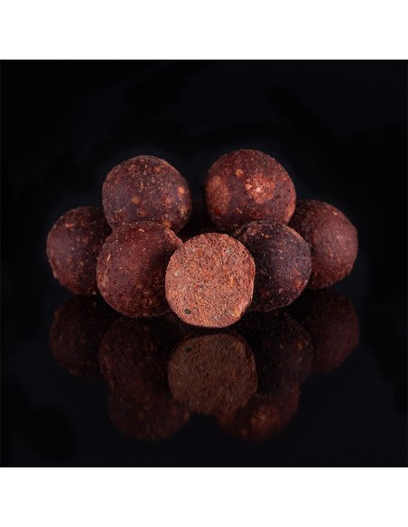 Aquatic Baits Squid Red HNV 2Kg 24mm Boilies Performance Range-Boilies-JJ-Fishing