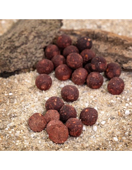 Aquatic Baits Squid Red HNV 2Kg 24mm Boilies Performance Range-Boilies-JJ-Fishing
