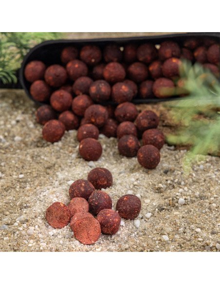 Aquatic Baits Squid Red HNV 2Kg 16mm Boilies Performance Range-Boilies-JJ-Fishing