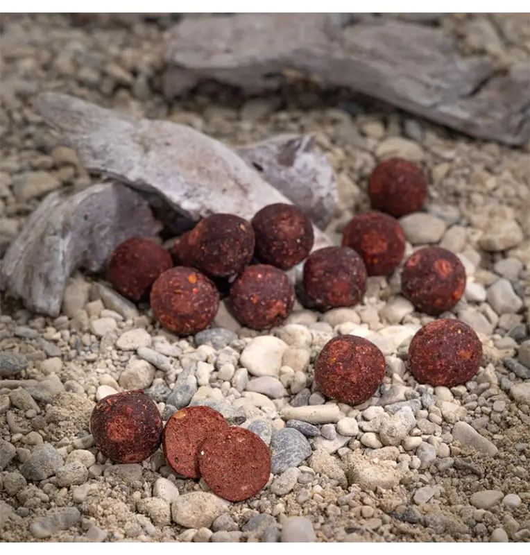 Aquatic Baits Squid Red HNV 2Kg 16mm Boilies Performance Range-Boilies-JJ-Fishing