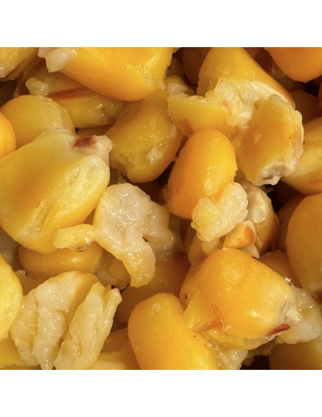 Mivardi Rapid Particle 2500g Mais Angelmais Futtermais Spodmix-Groundbait & Partikelfutter-JJ-Fishing