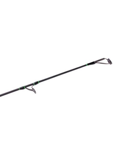 Zeck Fishing Homezone Long 305cm -180g leichte Wels Ufer Angelrute Cat Casting Rod-Welsruten-JJ-Fishing