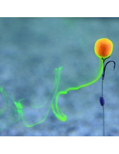 Steg SOLUBLE Pop Up Smoke Ball Banane 8-10mm 20g Method Feeder Köder Auftreibend-M.F. Pop Up's-JJ-Fishing 2