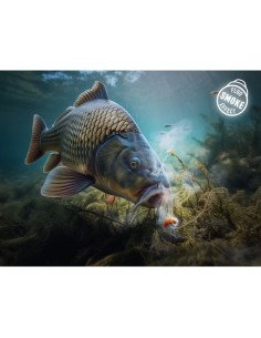 Delphin D SNAX SHELL Wafter Muschel & Spice 12mm 30g Balanced Smoke Effect Method Feeder Hochintensive Angelköder-M.F. Wafter... 2