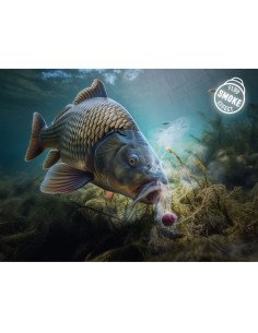 Delphin D SNAX SHELL Wafter Scopex & Vanille 12mm 30g Balanced Smoke Effect Method Feeder Hochintensive Angelköder-M.F. Wafte... 2