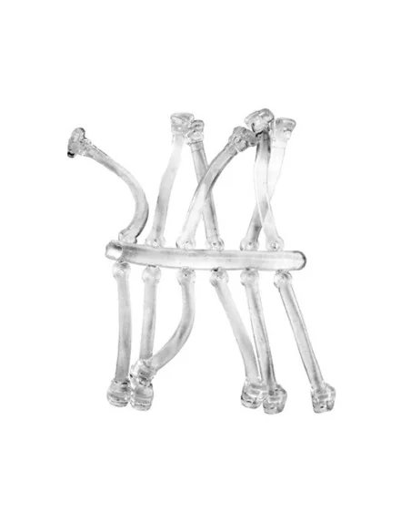 Delphin ELASTIC BAIT STOPPER 25mm Transparent Boilie Montage-Stopper & Baitscrews-JJ-Fishing