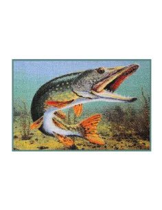 Bivvy Mat Hecht unter Wasser Fußmatte 60x40cm Zelt Matte Bivvy Mat-Bivvy Mat - Fußmatten-JJ-Fishing