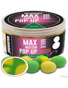 Haldorado Max Motion Pop Up AMUR 16 - 20mm Boilies Extra Intensive Premium Collection-Köder-JJ-Fishing