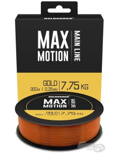 Haldorado MAX MOTION Gold 0,25mm 900m Angelschnur Hochleistungs Schnur Wettkampf Qualität-Endtackle-JJ-Fishing
