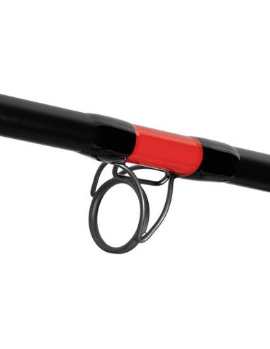 Delphin DANGER CatFISH 255cm 350g Welsrute Profi Angelrute Wels Angel-Welsruten-JJ-Fishing