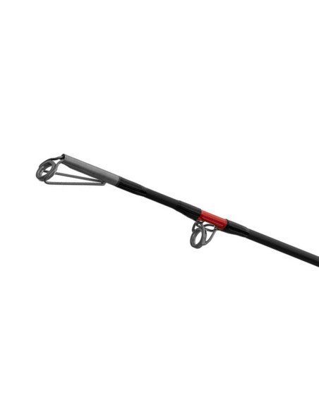 Delphin DANGER CatFISH 255cm 350g Welsrute Profi Angelrute Wels Angel-Welsruten-JJ-Fishing