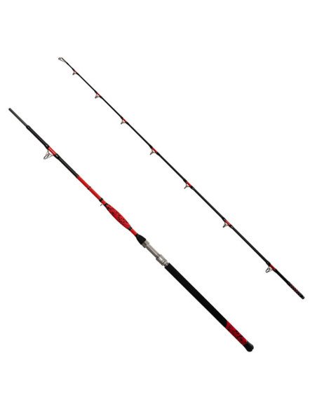 Delphin DANGER CatFISH 255cm 350g Welsrute Profi Angelrute Wels Angel-Welsruten-JJ-Fishing
