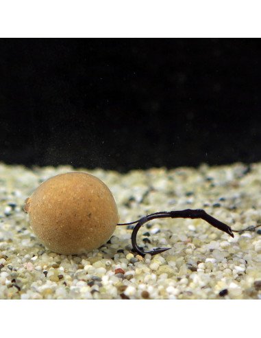 Carp Academy Line Aliger Rig Größe 2 25cm 25lb 2 Stück Karpfenvorfach-Vorfächer-JJ-Fishing