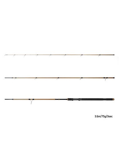 Delphin LEGIA CarpMatch 360cm 75g 3-teilig Prämium Matchrute-Match- & Floatruten-JJ-Fishing