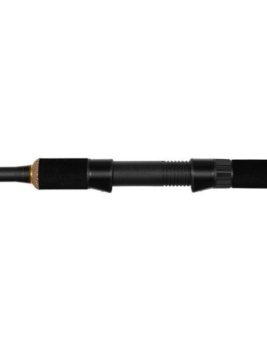 Delphin LEGIA CarpMatch 360cm 75g 3-teilig Prämium Matchrute-Match- & Floatruten-JJ-Fishing