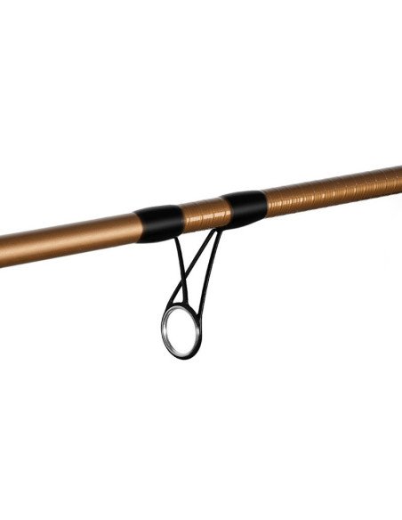 Delphin LEGIA CarpMatch 360cm 75g 3-teilig Prämium Matchrute-Match- & Floatruten-JJ-Fishing