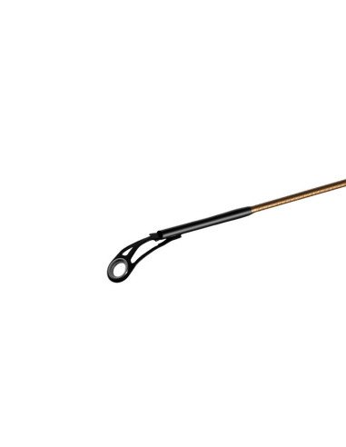 Delphin LEGIA CarpMatch 330cm 75g 3-teilig Prämium Matchrute-Match- & Floatruten-JJ-Fishing