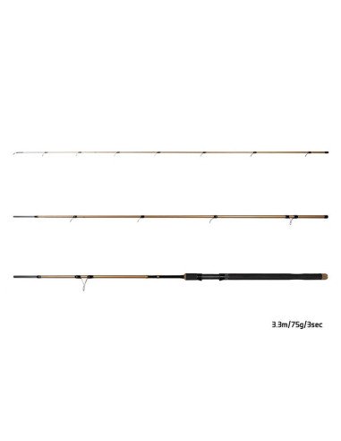 Delphin LEGIA CarpMatch 330cm 75g 3-teilig Prämium Matchrute-Match- & Floatruten-JJ-Fishing