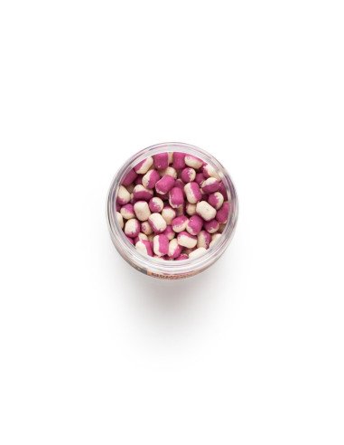 Mivardi Method Mini Wafters Squid Feeder 20g Duo Color Wettkampf Köder-Köder-JJ-Fishing