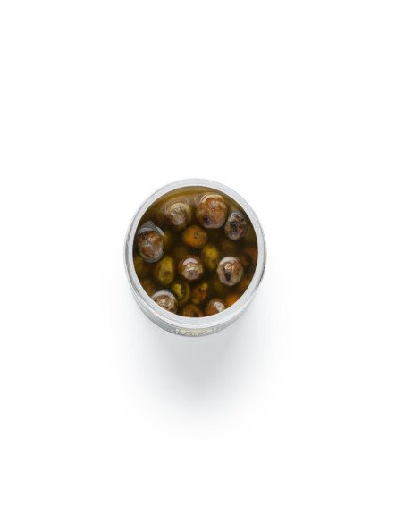 Mivardi Coloured Tiger Nut Scopex & Vanille 250ml Gefärbte Tigerüsse-Köder-JJ-Fishing