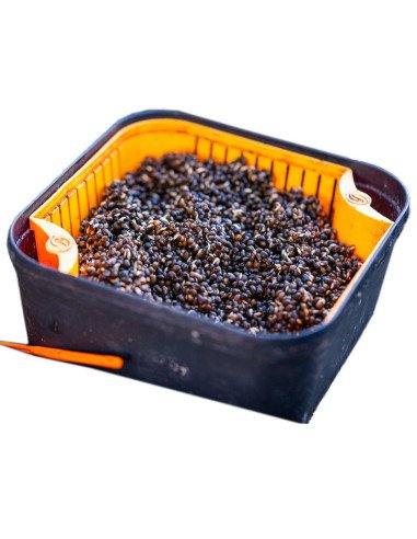 Guru Bait Box 2.2 Pint schwarz Orange 1 Stück Method Feeder Köderbox-Tackle Boxen-JJ-Fishing