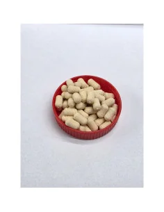 Dudi Bait Pop Up Garlic 8 mm Dumbell Method Feeder 4x World Winner-Pop Up´s-JJ-Fishing 2