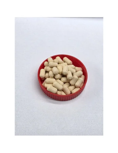 Pop-Up Garlic Dudi Bait - Dudi Bait