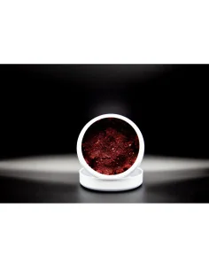 Dudi Bait Pasta Forest Squid Boilie Paste 4x World Winner